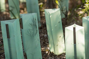 Corrugated PP <b>Plastic</b> Rolls Are Effective in Plant Care From Vietnam - Product Image 2
