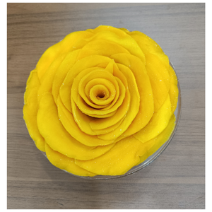 Mangue séchée douce de qualité supérieure du Vietnam exportant des tranches de mangue séchée, douceur naturelle, service OEM, approvisionnement en vrac pour les marchés d'exportation - Product Image 6