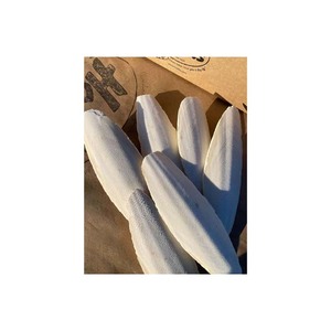 Bulk Lightweight Frozen <b>Cuttlefish</b> Bones for Bird Care - Product Image 4