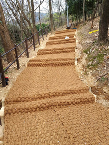 Tapis de coco tissé à la main robuste pour entrées commerciales et zones à fort trafic avec option de taille personnalisée | Ms Shyn Tran - Product Image 3