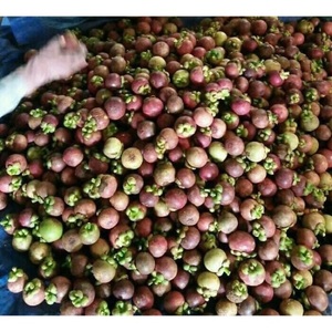 Mangostana เปลือกมังคุด,เปลือกมังคุดเปลือกผลไม้ Akina - Product Image 5