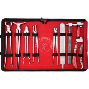 Kit de Herramientas para Herrador de Alta Calidad, Separador de Cascos, Pinzas de Cola Larga, Cuchillo para Cascos, Lima, Cortaúñas, Pinza, Doble Amoladora para el Cuidado de Cascos - Product Image 1