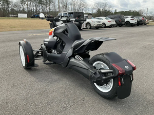 Paneles Clásicos para Ryker Rally Rotax 900 ACE 2021, Listos para Enviar - Product Image 3