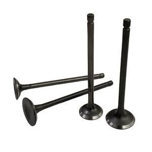 Kit de soupapes d'admission et d'échappement pour moteur Bajaj Discover <span class=keywords><strong>125</strong></span> - 2 soupapes en alliage haute qualité avec joint d'étanchéité de remplacement - Product Image 1