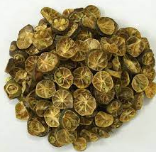 Kumquat Calamansi seco de primera calidad de Vietnam, sabor naturalmente dulce y agrio, perfecto para aperitivos o mezclas de té - Product Image 4