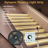 Bande lumineuse OEM ODM 24V WS2811ic 8mm 10mm 120Led/M chassant l'eau courante Led bande coulant avec écran tactile 5M 10M/Roll
