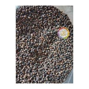 Semillas de papaya secas al por mayor de Vietnam, proveedor fiable de fábrica con capacidad mensual para pedidos internacionales - Product Image 6