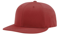 Gorra de Béisbol de Alta Calidad, 6 Paneles, Visera Curva, 100% Algodón, Estampado Animal, Logotipo Personalizado, Bordado a Mano, Bordado 3D, Oxford, Pesca