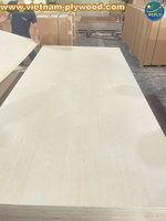 Contreplaqué à face de bouleau du Vietnam noyau d'eucalyptus et de styrax de qualité supérieure pour meubles de première classe 3mm-18mm