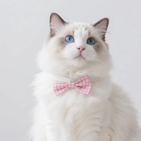 Accessoires de toilettage pour animaux de compagnie : Colliers à nœuds papillon en satin réglables assortis pour petits chiens et chats – Qualité supérieure pour Noël et Halloween