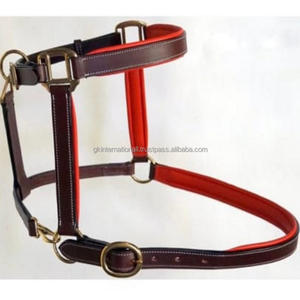 Détesteur de cheval en cuir de créateur classique confortable en cuir véritable rouge rembourré cheval en cuir licou et collier de tête matériel en laiton - Product Image 5