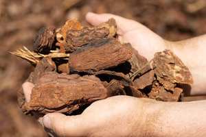 Décalages en bois de chêne Liserés en bois d'acajou Décalages en bois de hêtre - Product Image 4