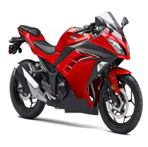 Motocicleta Todoterreno de Invierno de 150cc, 300 ABS, Cuatro Tiempos, Certificación EEC, Eléctrica, Usada, para Adultos, TOP 2024, Venta al Por Mayor - Product Image 6