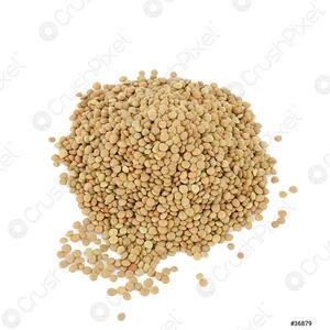 Buy affordable high grade <b>lentil</b> seeds Best prices for premium <b>lentil</b> seeds - Product Image 4