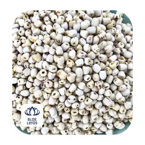 Dried Lotus Seed manufacturers & suppliers