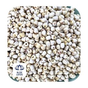 Fabricants et fournisseurs de graines de Lotus séchées - Product Image 1