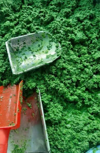 Hojas de Yuca Molidas Congeladas IQF Premium / Hojas de Yuca Picadas Congeladas Listas para Exportar desde Vietnam // Sra. Beatrix - Product Image 3