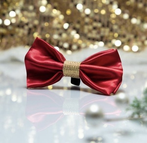 Creaciones alegres Descubriendo exhibiciones artísticas en festivales de Navidad - Product Image 1