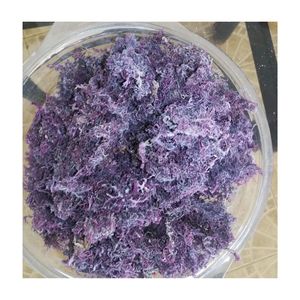 Musgo Irlandés Morado Spinosum, Alga Euchema Cottnii, Musgo Marino Seco Crudo, Silvestre, Precio al por Mayor con Oferta - Product Image 6
