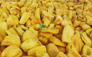 Viet Thien Phu directamente Vietnam alta calidad orgánica IQF Jaca congelada sabor dulce empaquetado a granel precio barato producto de agua - Product Image 3