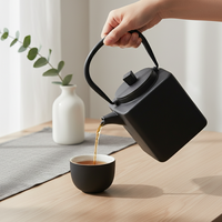 Offre Spéciale 3009441-0.8 Théière en fonte émaillée 800 ml avec couvercle en acier inoxydable Passoire en maille avec poignée en fonte, style japonais, revêtement émaillé en fer