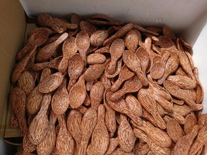 ช้อนกะลามะพร้าวจากเวียดนาม | ชุดช้อนส้อมธรรมชาติและนำกลับมาใช้ใหม่ได้จำนวนมาก - Product Image 3