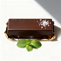 Liquide de cacao naturel de qualité alimentaire, masse de cacao en vrac, fournisseur en gros pour la confiserie au chocolat, la boulangerie et les gâteaux