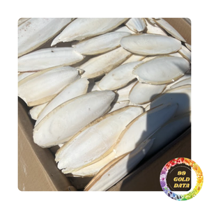 Os de seiche naturel séché au soleil du Vietnam | Pour complément alimentaire et remède naturel pour animaux de compagnie - Product Image 5