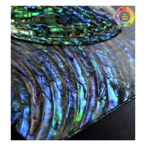 Concha de abulón natural redonda doble moneda plana rebanada cuentas de piedras preciosas colgante pequeño para la fabricación de joyas 10mm 14mm 15mm 18mm 20mm - Product Image 4