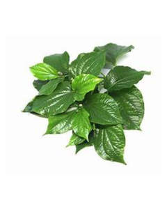 PIPER CONGELÉ DE QUALITÉ SUPÉRIEURE LOTLOT FEUILLE SAUVAGE RÉCOLTÉE PROPRE ÉTIQUETTE SOUTIEN STYLE DE VIE SAIN CHOIX VEGAN - Product Image 1