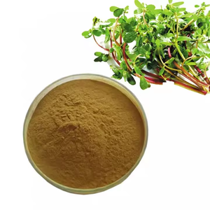 Purslane粉末エキスSaponins 50% <span class=keywords><strong>Oleracea</strong></span> Purslaneエキス - Product Image 5