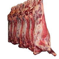 Viande de buffle congelée WATSON, emballée en vrac, partie du corps avec processus BQF, qualité alimentaire, USA