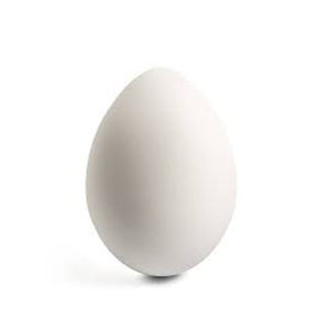 Vente en gros directe du fabricant d'oeufs de poule blancs de haute qualité, meilleur matériau pour une utilisation alimentaire, excellent rapport qualité-prix - Product Image 5