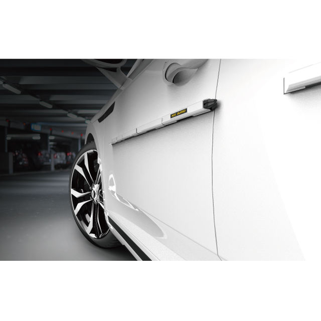 01.อัลไพน์สีขาว