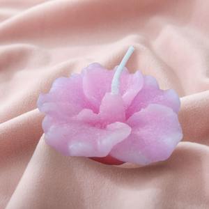 Eco-Friendly Scented <b>Candle</b> <b>Set</b> in Coconut Shells Premium Wellness <b>Gift</b> Natural Coconut Shell <b>Candles</b> - Product Image 6