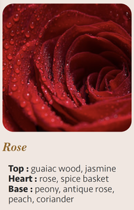 Vela Aromática de Rosa de Lujo Moderna Hecha a Mano de 25cl con Logotipo Personalizado, Cera Mixta en Frasco de Vidrio Cilíndrico, 55 Horas de Duración - Product Image 5