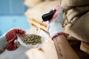 S16ถั่วเขียวสีเขียวอาราบิก้าโรบัสต้า S18เวียดนามผู้ผลิตบรรจุจำนวนมาก - Product Image 3