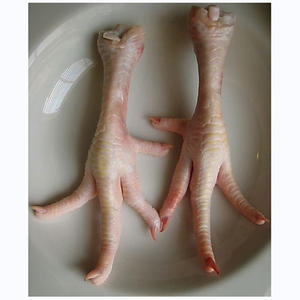 ตีนไก่แช่แข็ง ต้นกำเนิดจากบราซิล ตีนไก่แช่แข็ง ขาไก่แช่แข็ง ได้รับการรับรองแล้ว - Product Image 5