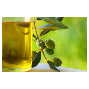 Aceite de Oliva Virgen Extra de Alta Calidad de Marca Propia Hecho en Canadá con 2 Años de Vida Útil Fabricado y Suministrado - Product Image 1