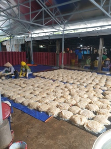 Venta caliente deliciosa ensalada de medusas saladas precio al por mayor, crujiente y picante marisco vietnamita delicadeza - Product Image 4