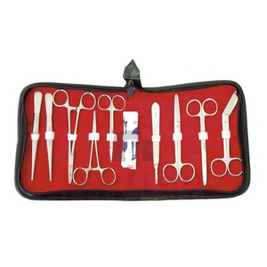 Kit Dental para pacientes de ortodoncia, Kit de higiene para el cuidado bucal, Orto, 8 piezas - Product Image 1
