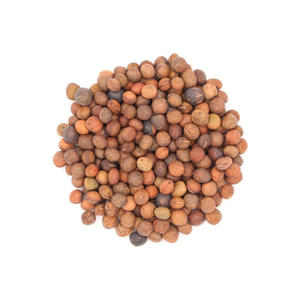 Semences de vesce en vrac emballées pour expédition à des acheteurs internationaux d'aliments pour animaux et d'amélioration des sols - Product Image 1