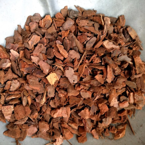 TOP SELLING Vietnamese Pine Bark for Custom Mixes & Specialized Crop Growing, Supports High Value Plants. - Product Image 6