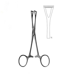 Pince à tissu d'organe éponge 2023 de qualité supérieure pince à tissu d'organe éponge droite en acier inoxydable par GRAYROCKS ENTERPRISES - Product Image 1