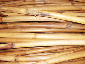 ราคาถูกโปแลนด์หวายเสาเส้นผ่าศูนย์กลาง10มิลลิเมตรถึง40มิลลิเมตร Akina - Product Image 6