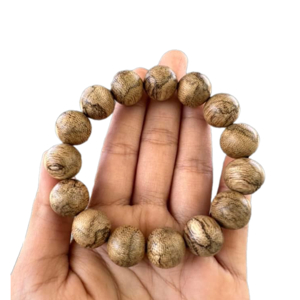 ธรรมชาติ