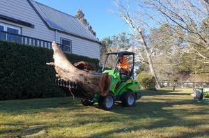 Minicargadora Arborist Avant 423 con Motor Yanmar, Paquete Arborist - Product Image 4