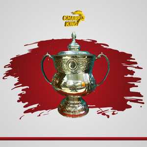 Stainless Steel Sports <b>Trophy</b> <b>Cup</b> Customized Achievement Award Display Durable Premium Quality - Product Image 3