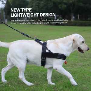 Oem Custom High quality <b>Dog</b> And Cat Collars Belt - Product Image 4