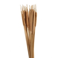 Quenouilles séchées décoratives pour la décoration intérieure accentuant un arrangement floral avec plusieurs de ces quenouilles entièrement naturelles